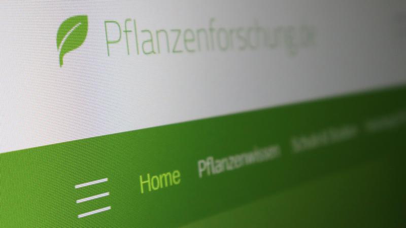 Relaunch Pflanzenforschung.de