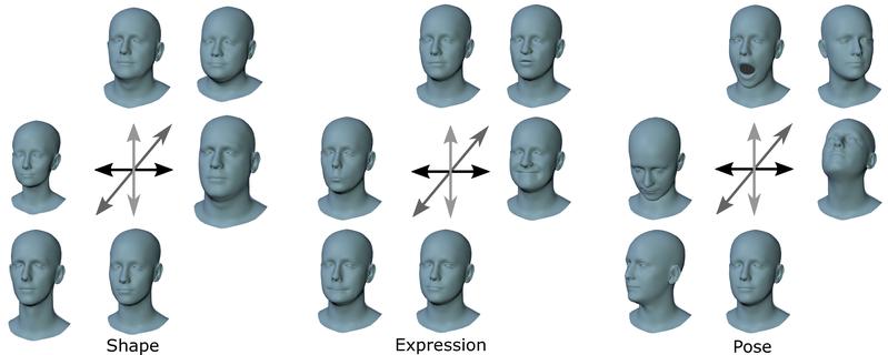 FLAME ist ein statistisches 3D-Kopfmodell, das mit Hilfe des maschinellen Lernens aus über 30.000 3D-Kopfscans erstellt wurde. 