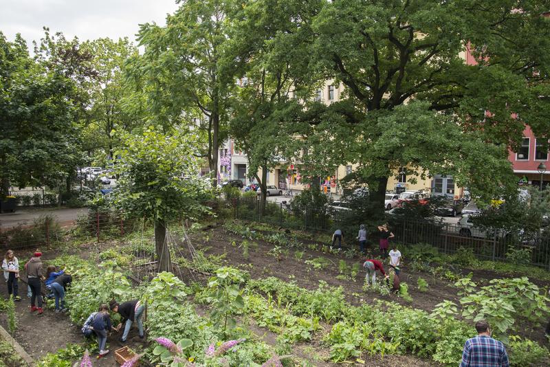 Praktische Arbeit im Schulgarten wie hier ist die eine Seite. Mit dem Projekt „Schulgarten DiGiTAL“ soll die jetzt auch mit einer digitalen Lern-Plattform verbunden werden.