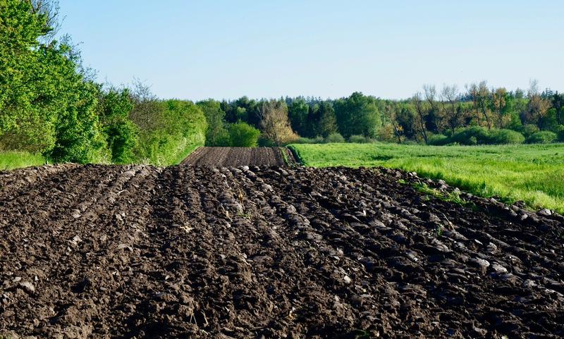 Agrarböden bieten ein großes Potenzial für Kohlenstoffbindung und stellen somit einen entscheidenden Faktor für den Klimaschutz dar