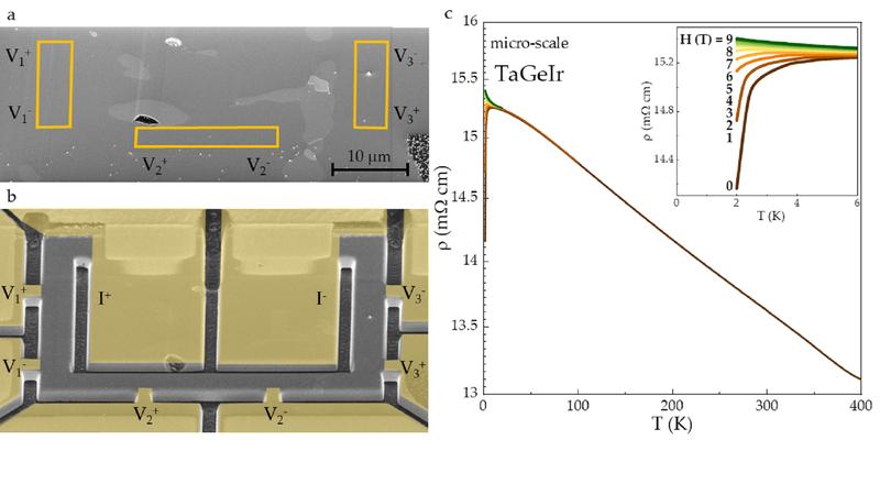 Micro-scale device manufactured of polycrystalline TaGeIr