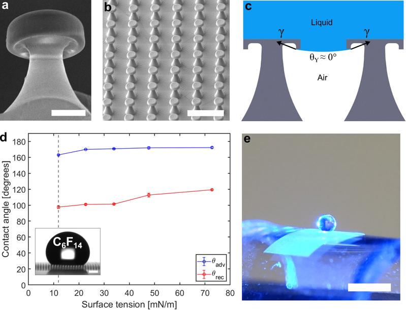 Figure 1: Bioinspired liquid super-repellent dry adhesives