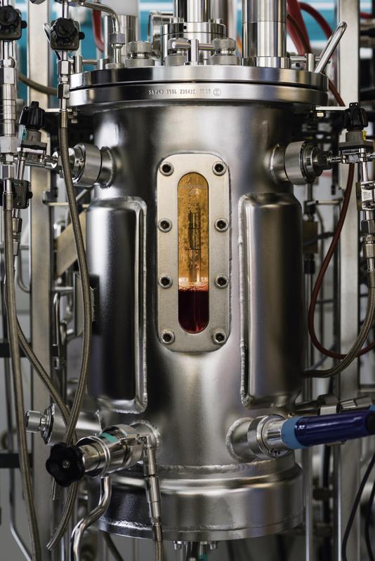 In einem Bioreaktor am Max-Planck-Institut in Magdeburg werden Zellen in einem Nährmedium gezüchtet, anschließend mit Viren infiziert, die sich vermehren und als Basis eines Impfstoffs dienen.