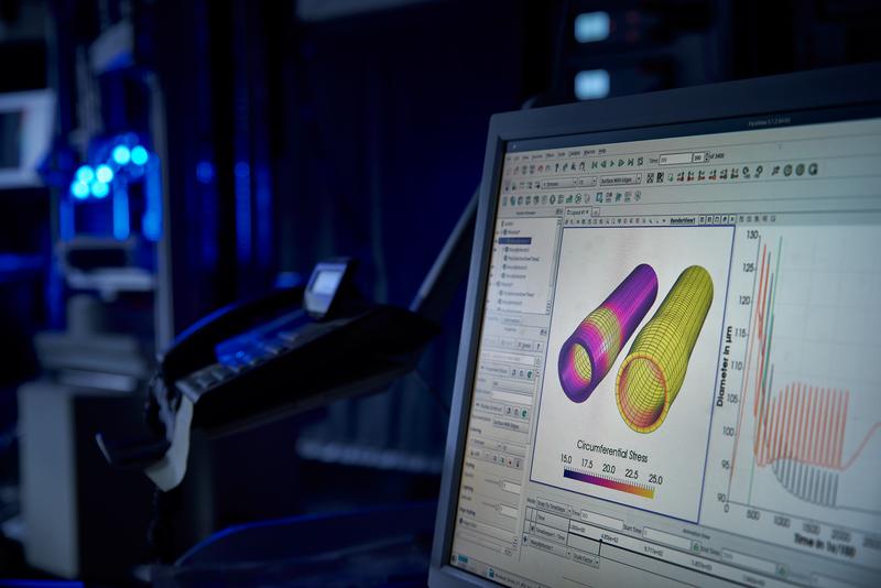 Die glatte Muskulatur beeinflusst aktiv das Verhalten von Arterien. Dieses Verhalten lässt sich anhand von Simulationen eines Herzschlags analysieren.