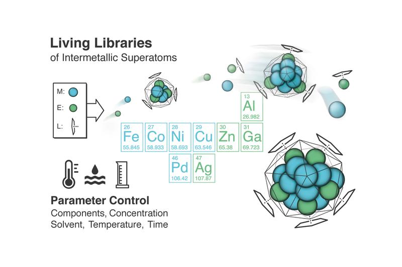 The project aims at the precise control of the reaction networks of formation, growth and degradation reactions.