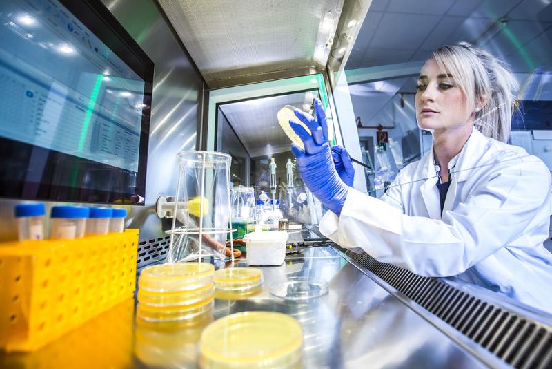 Mikrobielle Zellfabriken ermöglichen die zielgenaue Synthese neuer Extremolyte. Ihre maßgeschneiderte Entwicklung ist eine Spezialität der Wissenschaftler aus der Systembiotechnologie der Saar-Uni.