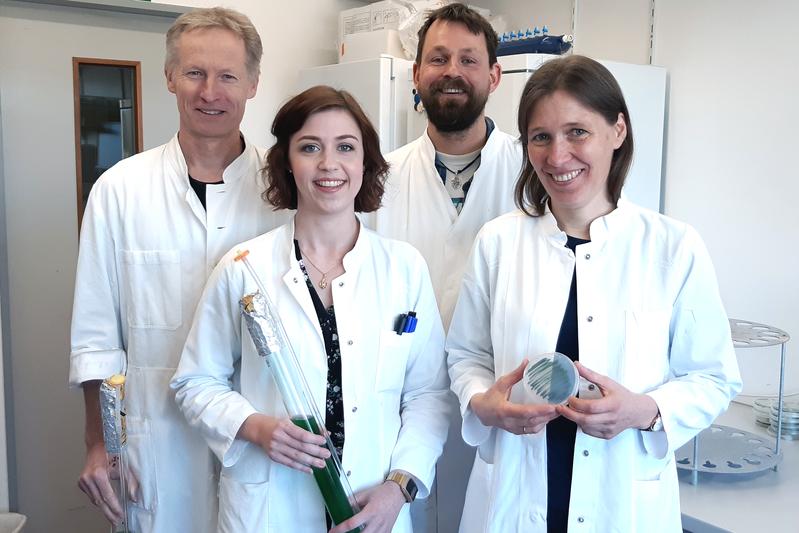Gemeinsam mit Dr. Jens Appel, Vanessa Hüren und Dr. Marko Böhm (von links nach rechts) erforscht Dr. Kirstin Gutekunst, wie sich Cyanobakterien zur Produktion solaren Wasserstoffs einsetzen lassen.