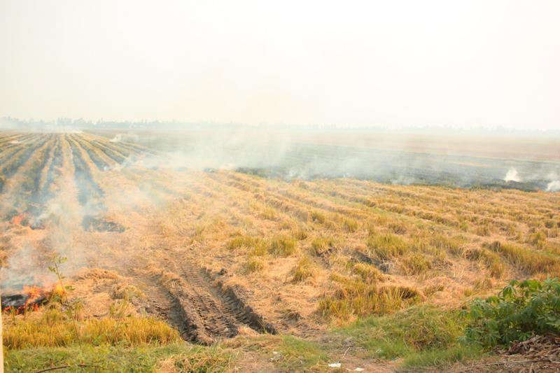 Brennende Reisfelder in Vietnam – „Der Himmel liegt verborgen hinter einem grauen Schleier.“