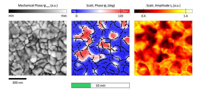 In-situ Dynamik der Magnesiumhydrid-Bildung in Magnesium mit Nanometer-Auflösung, gemessen mit streuungssensitiver optischer Raster-Nahfeld Mikroskopie. 