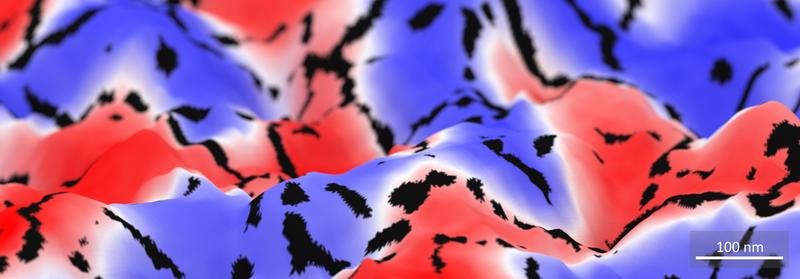 Visualization of the topography of magnesium with nanometer resolution covered with an optical scattering phase map showing hydrogenated and unhydrogenated areas. 