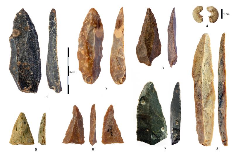 Steinartefakte aus dem frühen Jungpaläolithikum (IUP) aus der Bacho-Kiro-Höhle: 1-3, 5-7 spitze Klingen und Fragmente aus Schicht I; 4 Sandsteinperle, deren Gestalt Knochenperlen ähnelt; 8 die längste vollständige Klinge.