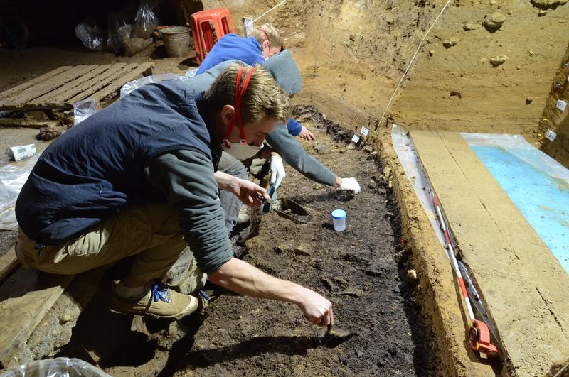 Ausgrabungsarbeiten in der IUP-Schicht I in der Bacho-Kiro-Höhle. Aus dieser Schicht wurden vier Homo sapiens-Knochen sowie zahlreiche Steinwerkzeuge, Tierknochen, Knochenwerkzeuge und Anhänger geborgen.