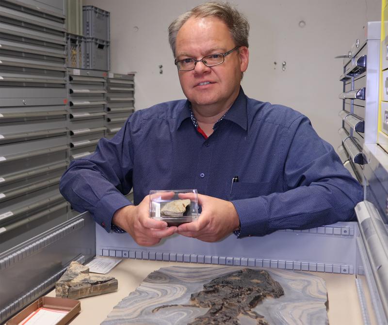 Dr. Rainer Schoch mit dem Fossil des ältesten Urzeit-Salamanders der Welt Triassurus
