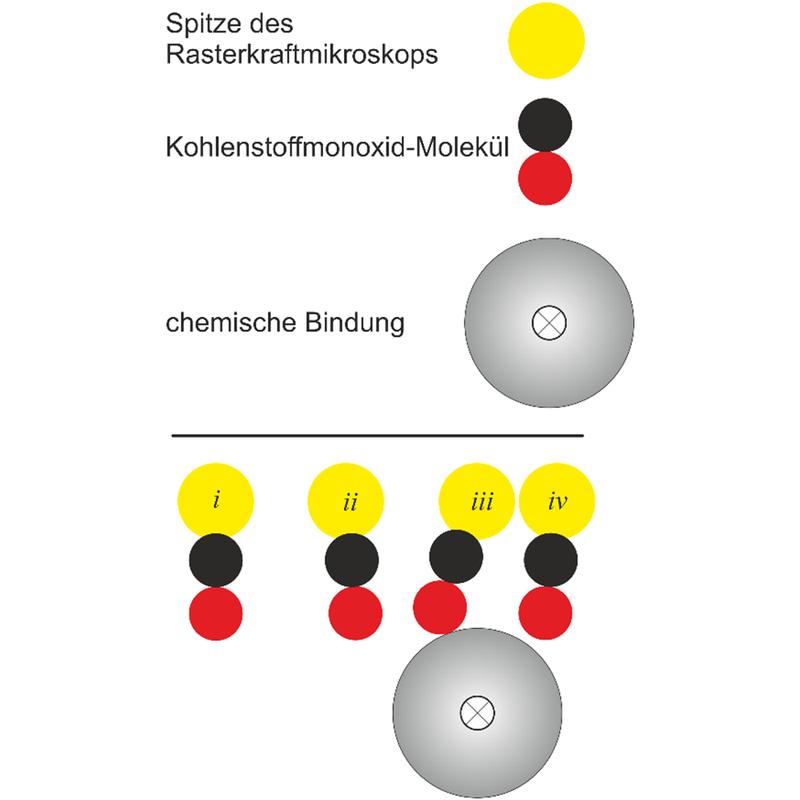 Während die Spitze des Rasterkraftmikroskops in lateraler Richtung über eine chemische Bindung bewegt wird (i bis iv), verbiegt sich das Kohlenstoffmonoxid-Molekül am terminalen Ende der Spitze und springt schließlich zur anderen Seite über.