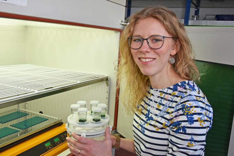 Juniorprofessorin Julie Zedler von der Universität Jena. Die Biologin erforscht die Photosynthese von Cyanobakterien.