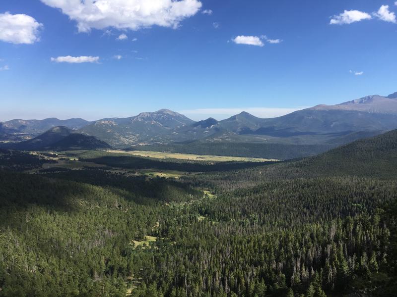 Mid- and high-latitude ecosystems from the Northern Hemisphere are some of the ecosystems expected to be more affected by the increases in pathogen proportions. The picture shows forests in the west of the USA.