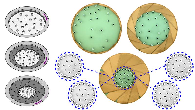 Figure: Dynamically moving hard boundaries confine mobile magnetic particles into reprogrammable 2D self-assembled patterns