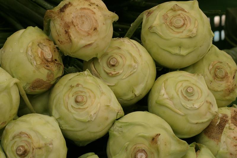 Kohlrabi ohne grüne Blätter? Das spart Dünger und macht das Gemüse zudem länger haltbar.