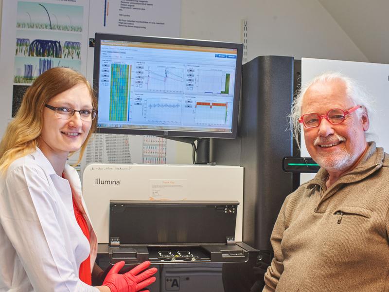 Mit Hilfe von Genexpressionsanalysen konnten Dr. Anne-Marie Galow und Dr. Ronald Brunner sowie ihre Wissenschaftskollegen erstmals die Zellstrukturen von Mäuseherzen vollständig erfassen. 