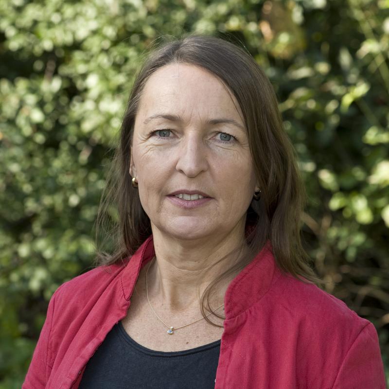 Prof. Dr. Dr. Sigrid Graumann