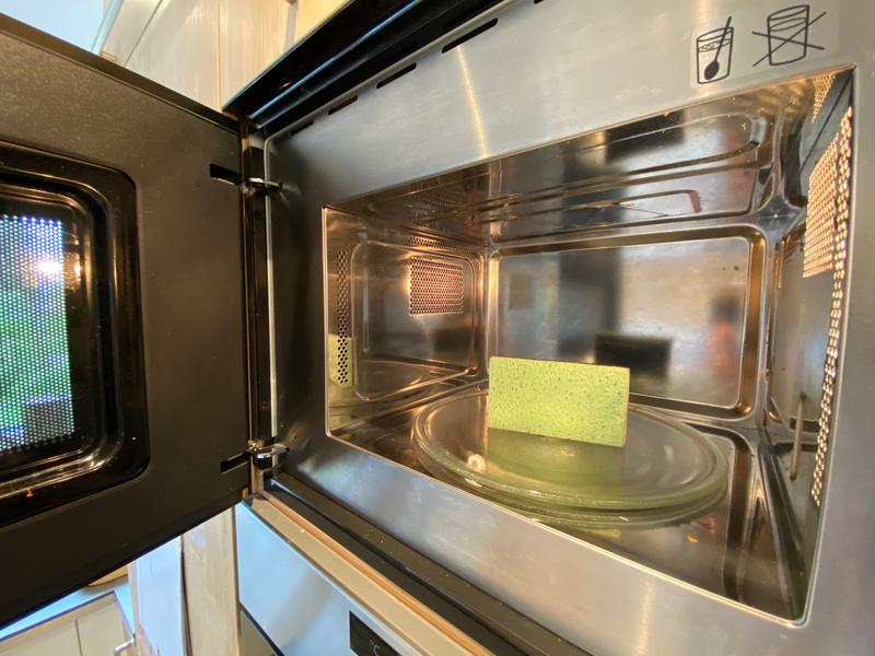 Kitchen sponge in microwave