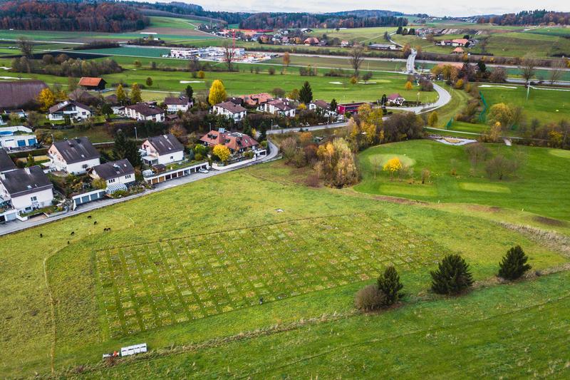 Das PaNDiv-Experiment in Münchenbuchsee BE. 