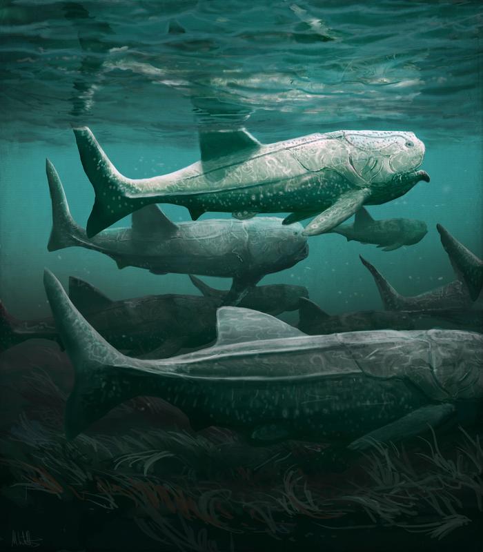 Artist impression of "Titanichthys".