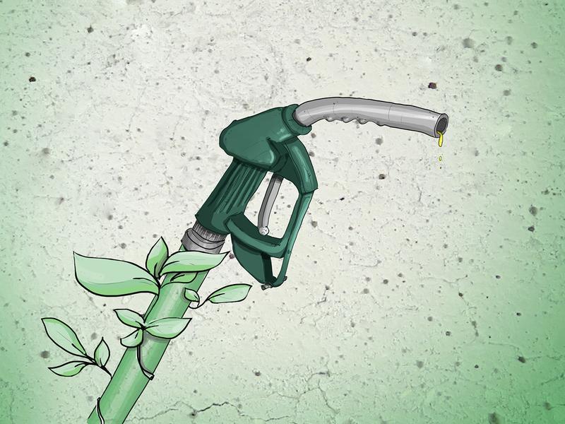 Sind gefragt: regenerative Alternativen zu fossilen Kraftstoffen.