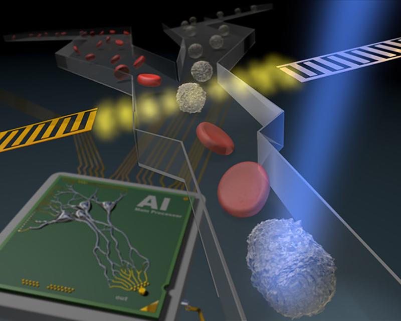 Artist's impression of AI-based sorting of a blood sample in a flow cytometer