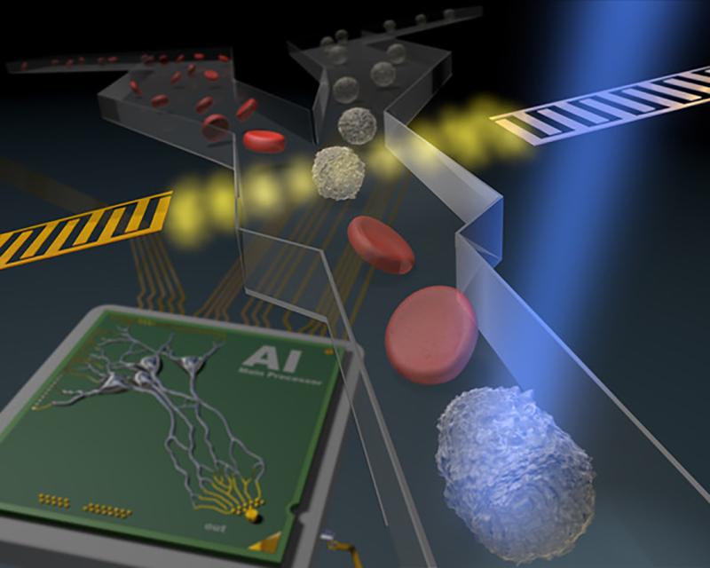 Artist's impression of AI-based sorting of a blood sample in a flow cytometer