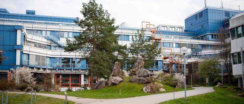Neue Studiengänge zum digitalen Wandel an der Universität Trier