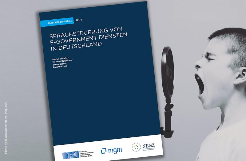 Visual: Kurzstudie "Sprachsteuerung von E-Government Diensten in Deutschland