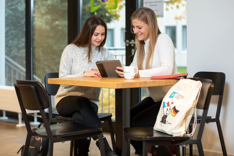 Seit vielen Jahren unterstützt die Deutsch-Französische Hochschule (DFH) die gemeinsam entwickelten Doppelstudiengänge der Partneruniversitäten Mainz und Dijon.