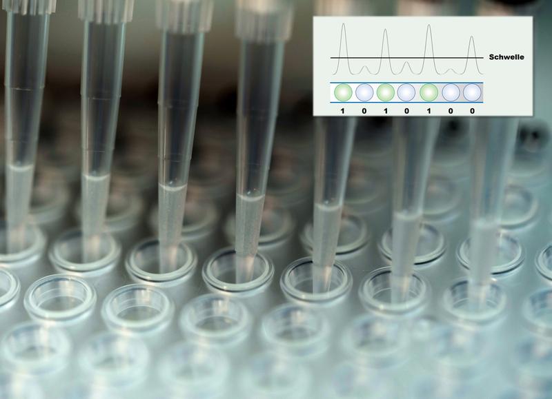 Multipipette beim Befüllen einer Multiwell-Platte. 