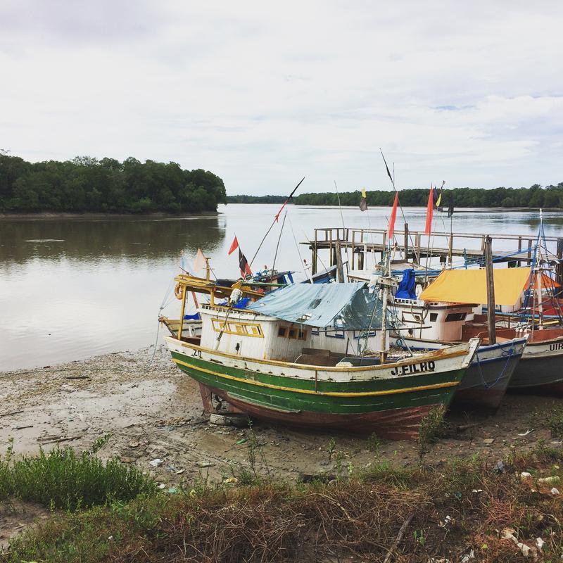 Use and management of natural resources, for example in fishing, have been a focus of many environmental civil society organisations. A new ZMT study shows that the interests of environmental NGOs now also include broader social and sustainability issues.