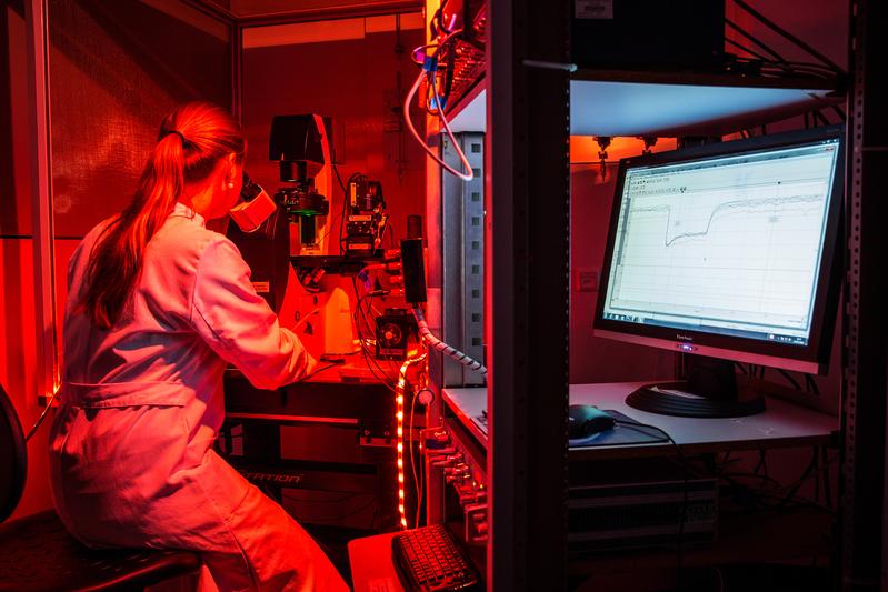A doctoral student is working on a patch-clamp system in which new ion channels controlled by light stimuli are tested with which the activity of heart muscle cells can be influenced.