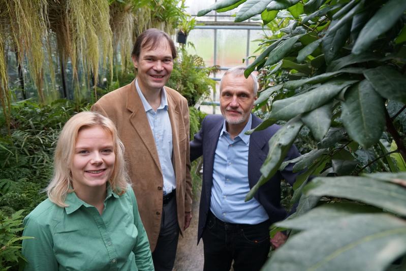 Wie kann Chemie genutzt werden, um Pflanzenhormone herzustellen? Damit befassen sich die Doktorandin Jana Löwe und die beiden Professoren Dr. Harald Gröger und Dr. Karl-Josef Dietz (v. li.) in einer neuen Studie.