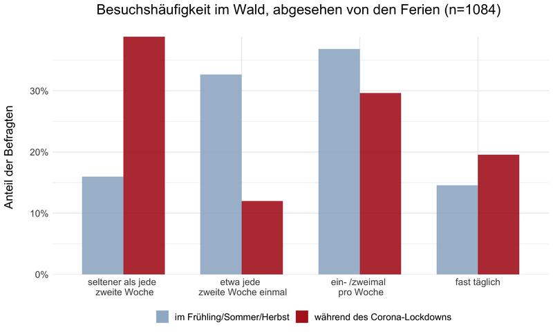 Die Antworten der Befragten vor und während des Corona-Lockdowns zeigen klar, dass sehr viele Menschen in der Schweiz seltener in den Wald gingen als üblich, andere hingegen häufiger.