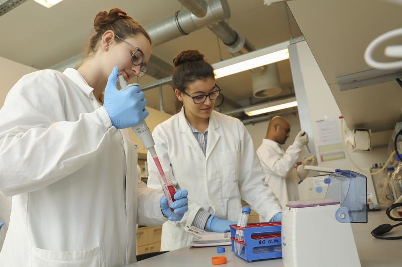 Zwei Wissenschatlerinnen befüllen in einem Labor mit einer Pipette einen Probenbehälter.