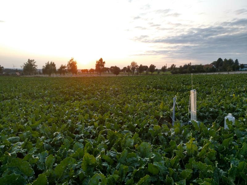 Field experiments in the Loess Hilly Region of Saxony (Lommatzscher Pflege)