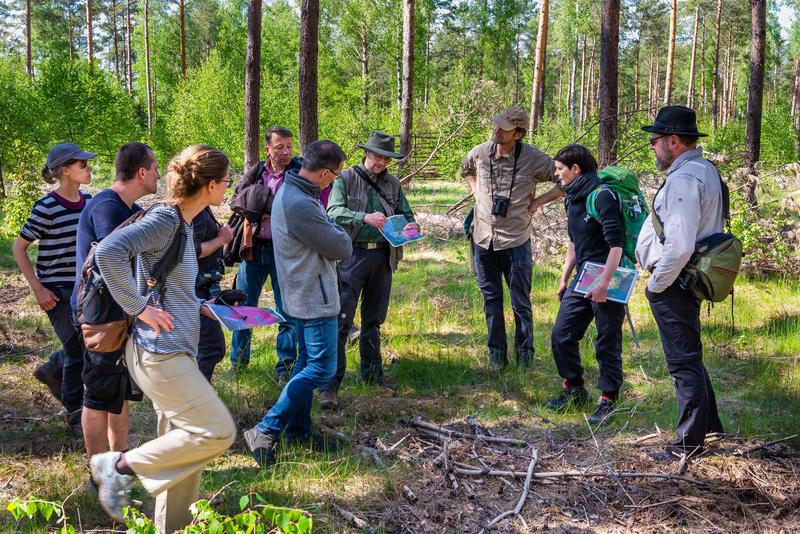 Begehung auf einer der Waldbrandflächen