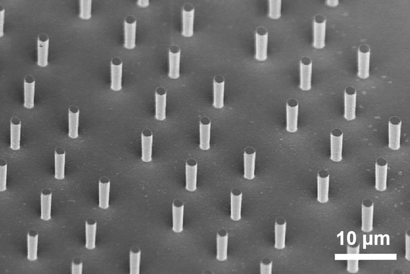 Wenige Mikrometer grosse Siliziumsäulen unter dem Elektronenmikroskop: Solche Strukturen machen das Material elastischer. 