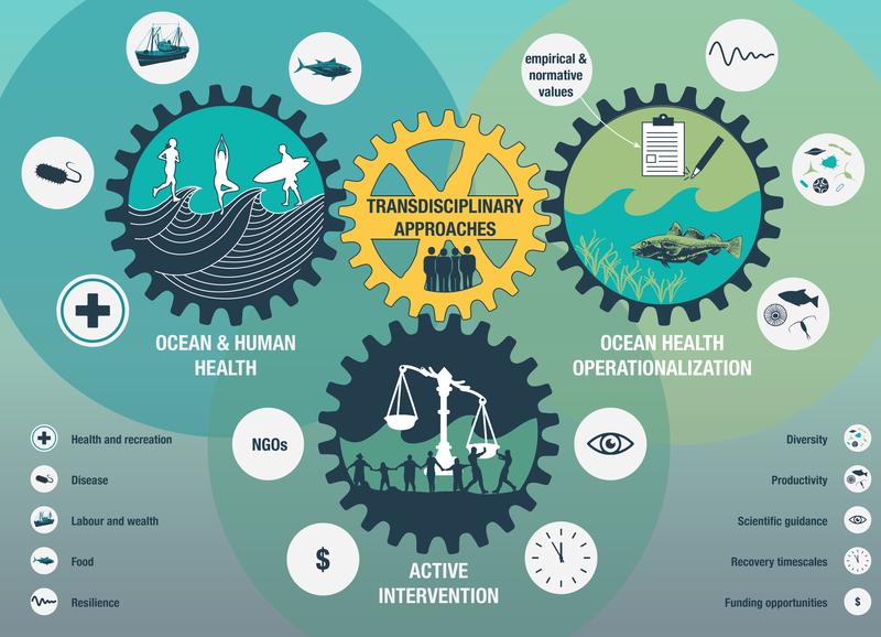 Schematische Abbildung zu Ocean & Human Health
