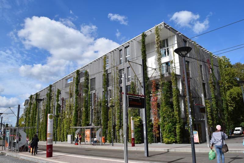 Begrünte Fassaden als Klimafolgenanpassungsmaßnahme. Wie man sie fördern kann wird beim Städtedialog Gebäudegrün besprochen. 