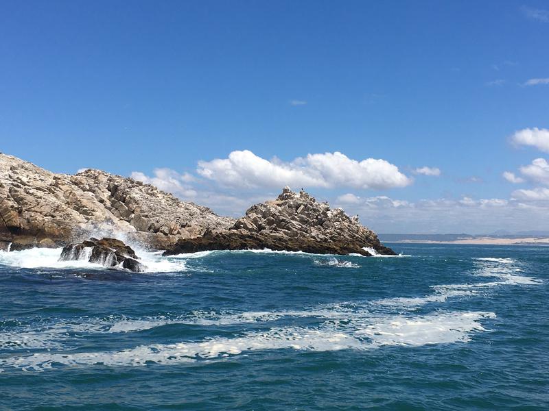 Die Algoa-Bucht in Südafrika ist eines der Untersuchungsgebiete des Projekts MARISCO. Das Meeresgebiet beherbergt eine große Vielfalt an Lebewesen. Die Insel St. Croix ist die größte von drei Inseln in der Bucht. 