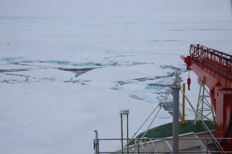 Blick von der Brücke: FS Polarstern ist wieder an der MOSAiC-Eisscholle!