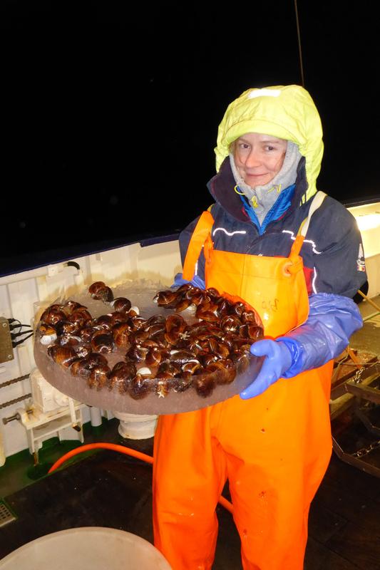 Mayya Gogina during a sampling campaign with Arctica islandica