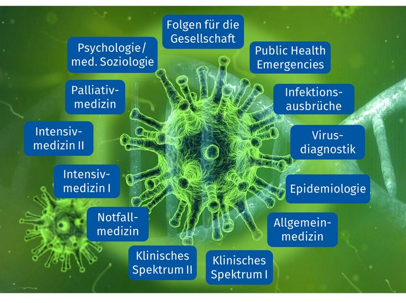 Public Health Emergencies: Interdisziplinäre Online-Ringvorlesung an der Universität Jena