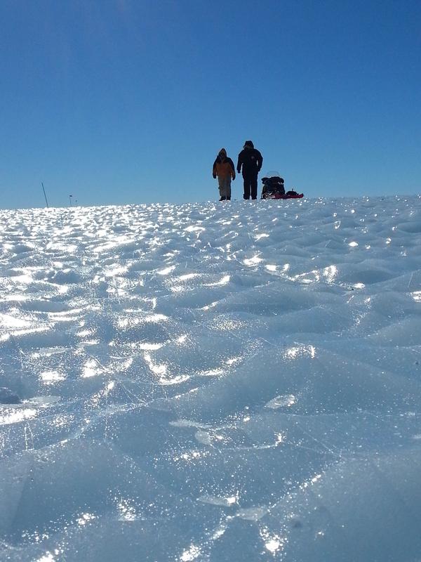 Surface of the blue ice field in Horseshoe Valley exposed by wind erosion. The erected layers show younger ice on the right and older ice on the left. 