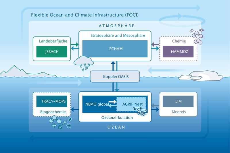 Schematische Abbildung des FOCI Modellsystems